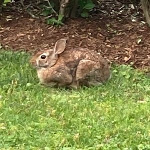 Meet your Posher, Xiao